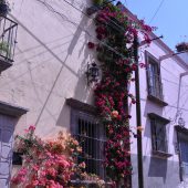  San Miguel de Allende, Mexico 2009